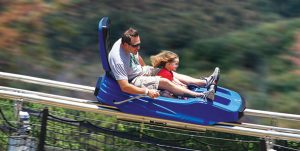 Ski Mountain Coaster Ober Gatlinburg