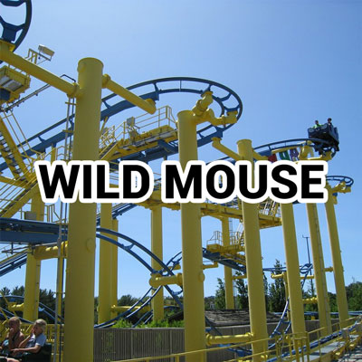 wild mouse steel