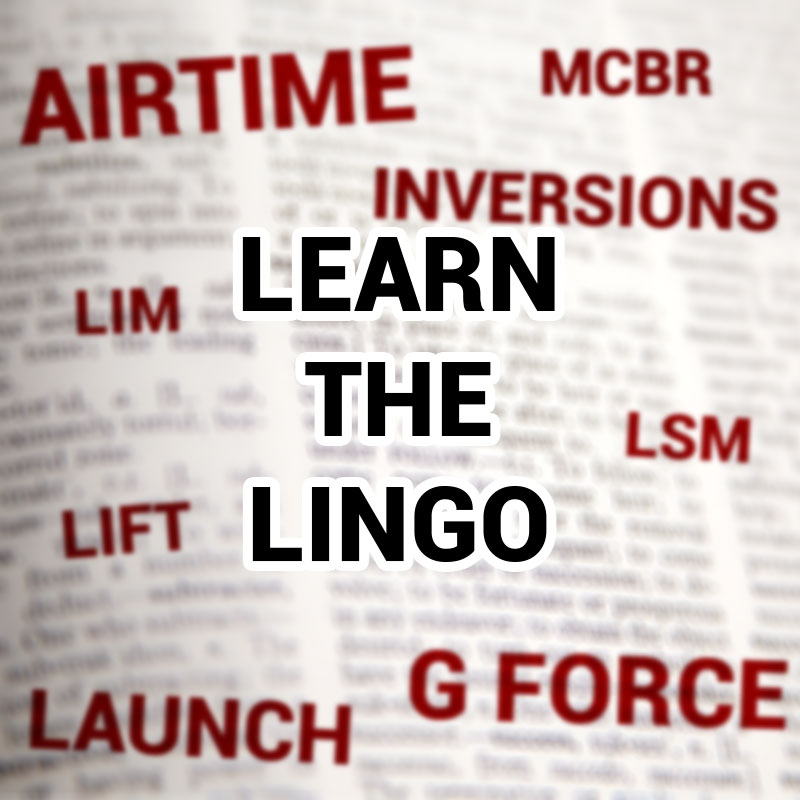 learn the lingo