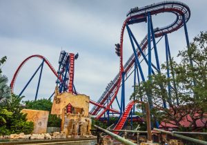 SheiKra Busch Gardens Tampa