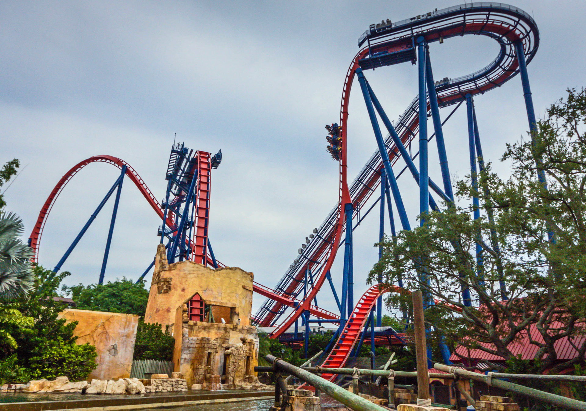 SheiKra - Floorless Dive Roller Coaster