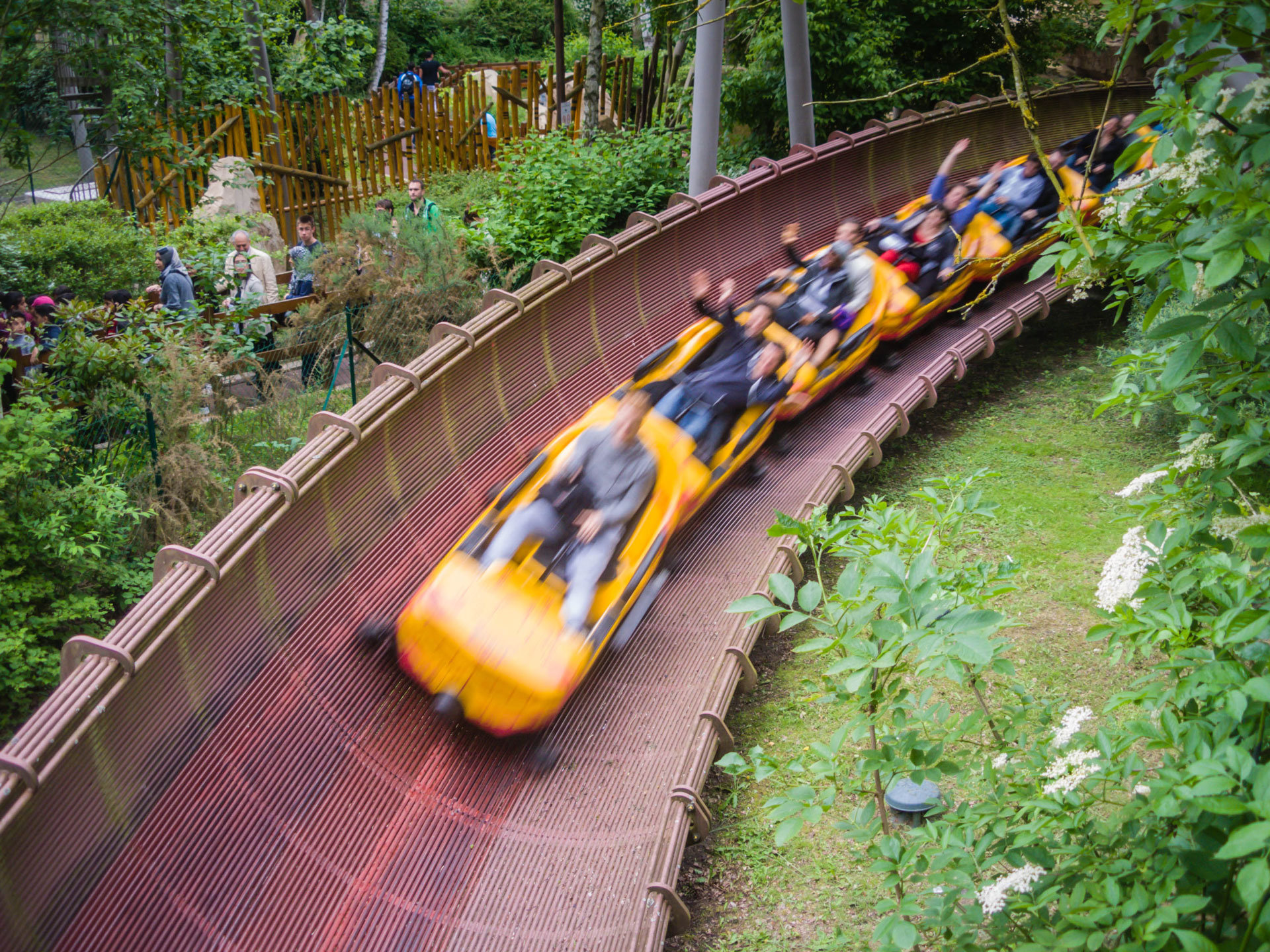 BOBSLED COASTER COASTERFORCE