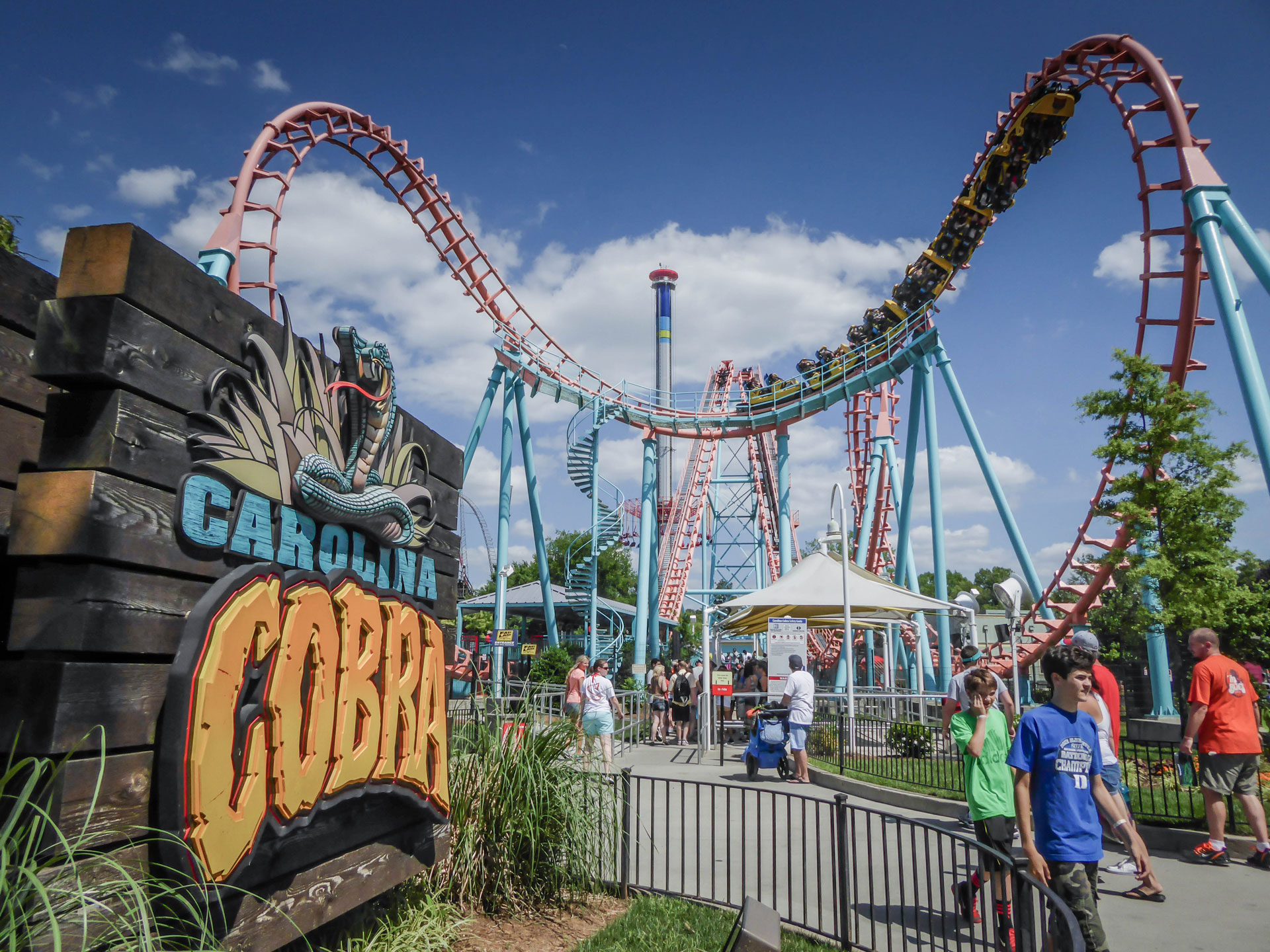 carolina cobra roller coaster