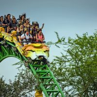 Cheetah Hunt Busch Gardens Tampa