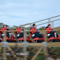 Cu Chulainn Tayto Park