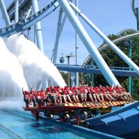 Griffon Busch Gardens Williamsburg