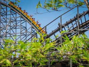 Gwazi Busch Gardens Tampa