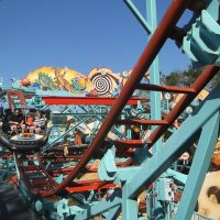 Primeval Whirl Disney's Animal Kingdom