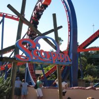 Scorpion Busch Gardens Tampa