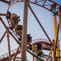 Sierra Sidewinder at Knotts Berry Farm