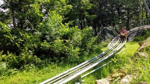 Smoky Mountain Coaster