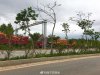 Nanning3.jpg