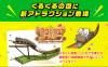 Shirakaba Wood Coaster.png