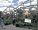 Expo90.jpg Expo90.jpg