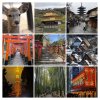 IMG_4415-COLLAGE.jpg