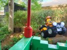 IMG20250501113358.jpg
