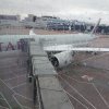 Qatar Plane 1.jpg