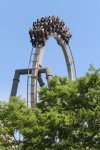 GGW 11 IMG_7202.jpg