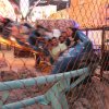 DQ 18 IMG_8460.jpg