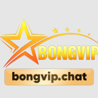 bongvipchat